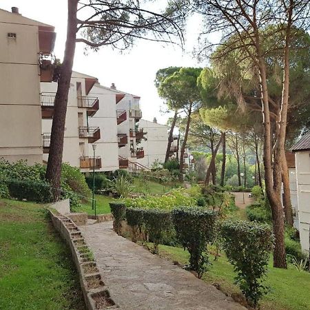 Casa Pini Apartment San Martín de Valdeiglesias Екстериор снимка